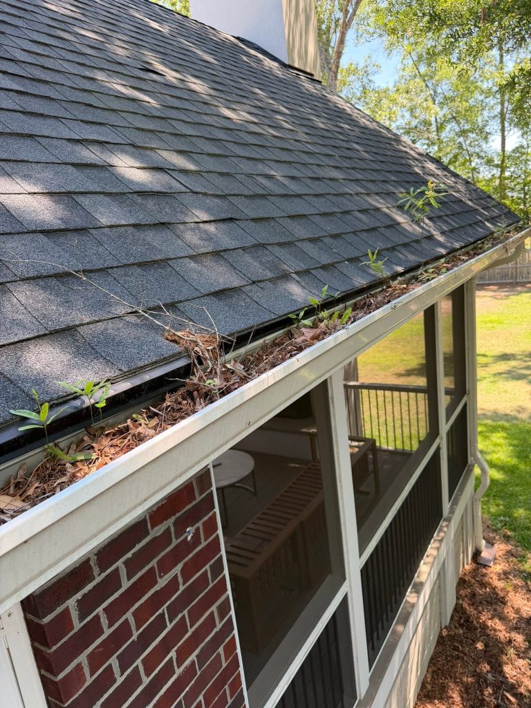 lead safe pressure washing older charleston homes